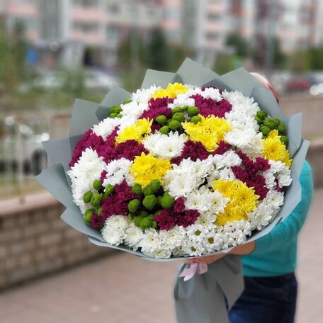 35 Кустовых Хризантем Ромашка Микс